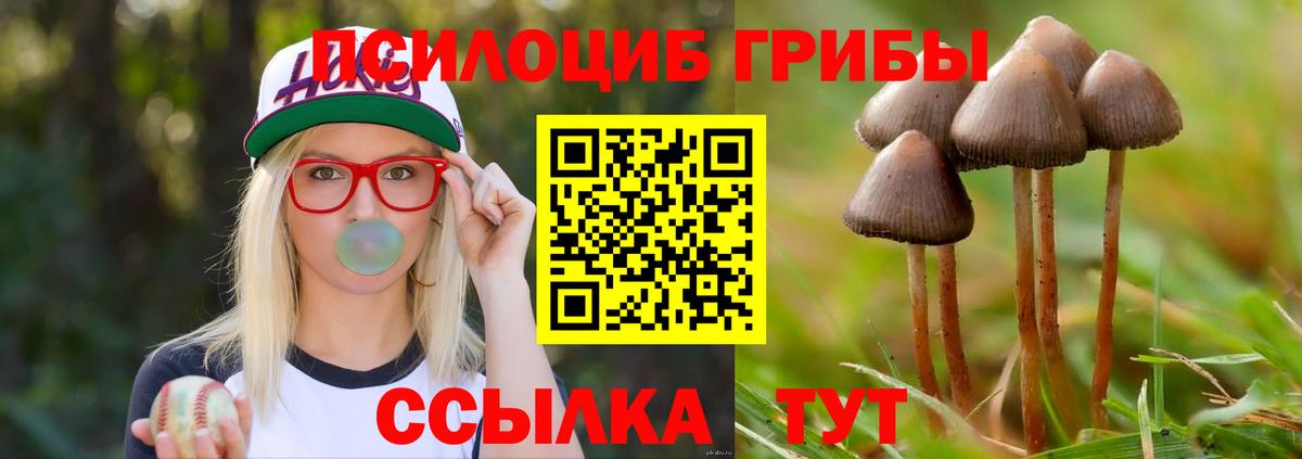 Галлюциногенные грибы ЛСД  Вход с VPN  Выборг 